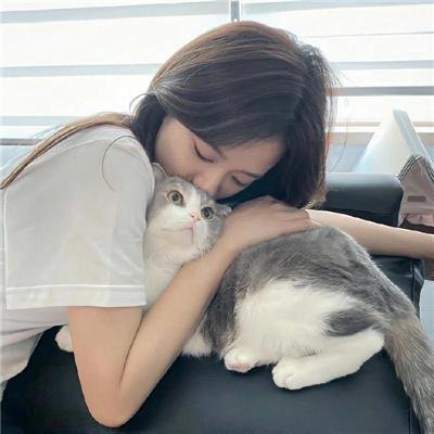 长安侠影之天谴之谜
